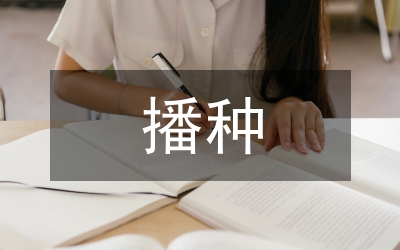 花生單粒播種豐產(chǎn)培育技巧