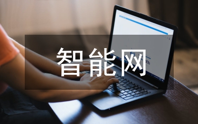 智能網(wǎng)業(yè)務(wù)互通論文