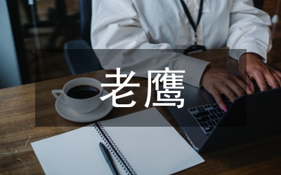 老鷹抓小雞游戲