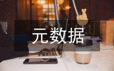 元數(shù)據(jù)