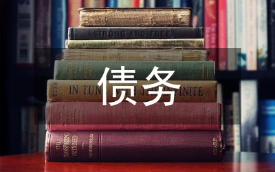 公立醫(yī)院債務(wù)情況匯報(bào)