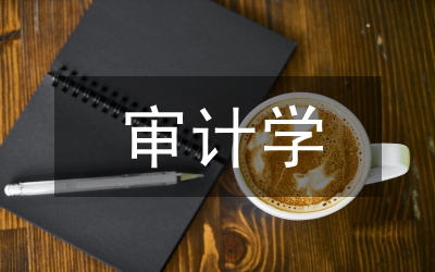 審計學(xué)專業(yè)建設(shè)