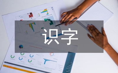 我的識字教學(xué)觀