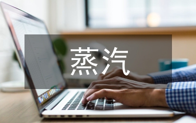 蒸汽流量計量分析論文