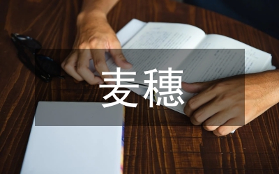 最大的麥穗作文