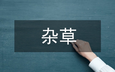 試論田間雜草稻防除策略