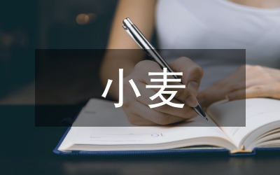 優(yōu)質(zhì)小麥