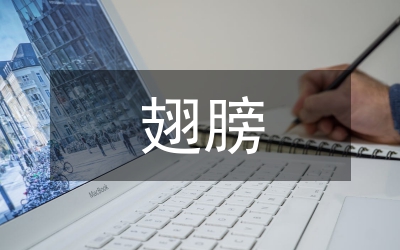 翅膀和黃金關(guān)系