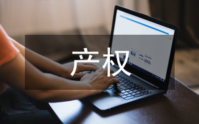 產(chǎn)權(quán)保護(hù)