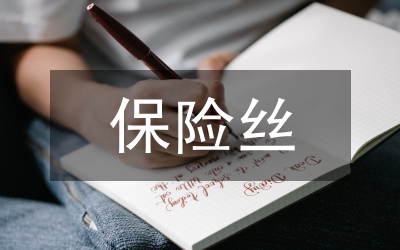 保險絲實訓總結