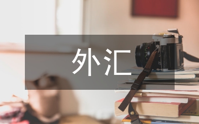 外匯風(fēng)險(xiǎn)分析