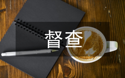 省委督查工作意見