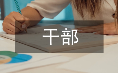 黨務(wù)干部黨政工作述職