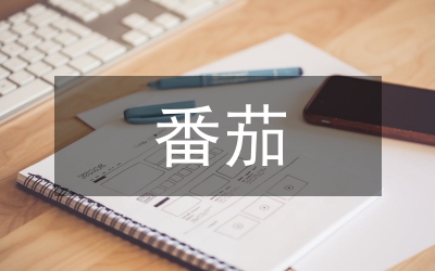 晚秋番茄高產(chǎn)高效栽培技術(shù)透析