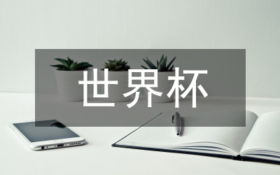 世界杯與創(chuàng)先黨課心得體會