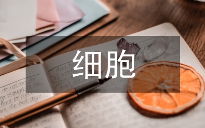 NeuroD對(duì)細(xì)胞分化研究