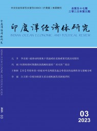 印度洋經(jīng)濟體研究