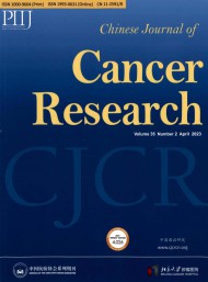 中國(guó)癌癥研究