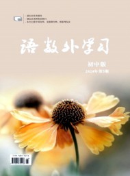 語數(shù)外學習·初中版