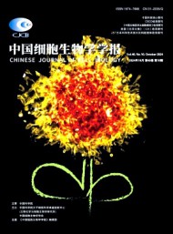 細(xì)胞生物學(xué)