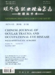 眼外傷職業(yè)眼病