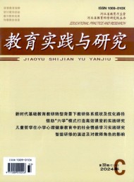 教育實踐與研究(C)