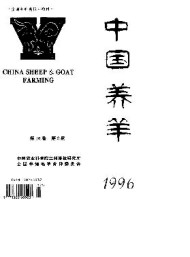 中國養(yǎng)羊