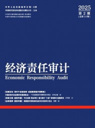 經(jīng)濟(jì)責(zé)任審計(jì)