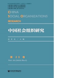 中國社會組織研究