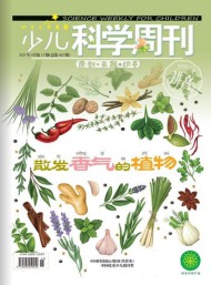 少兒科學(xué)周刊