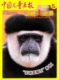 中國(guó)兒童畫報(bào)
