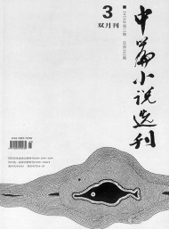 中篇小說選刊雜志
